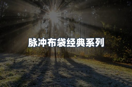 脉冲布袋经典系列