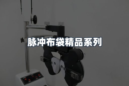 脉冲布袋精品系列